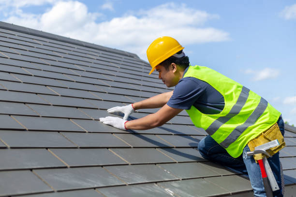 Best Affordable Roof Replacement  in Brooklyn Park, MN
