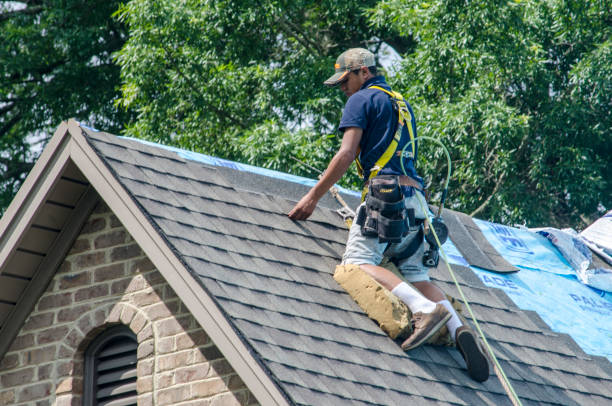 Best Roof Replacement Cost  in Brooklyn Park, MN